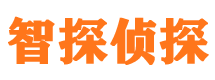 仲巴外遇调查取证